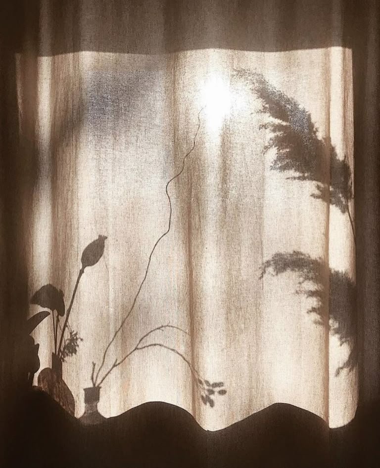 Morning light through a linen curtain, the shadows of dried grasses and a vase moving across it