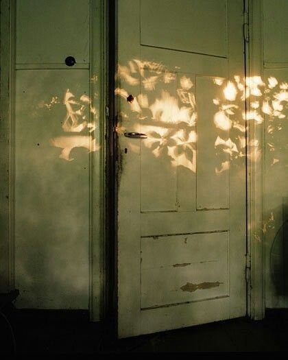 Leaf-shaped light falling across an old green door
