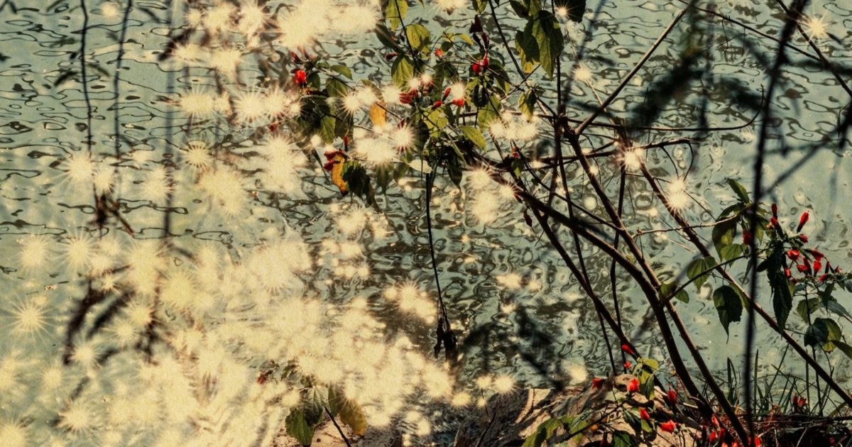 Sunlight breaking into stars on rippling water, branches and red berries in front