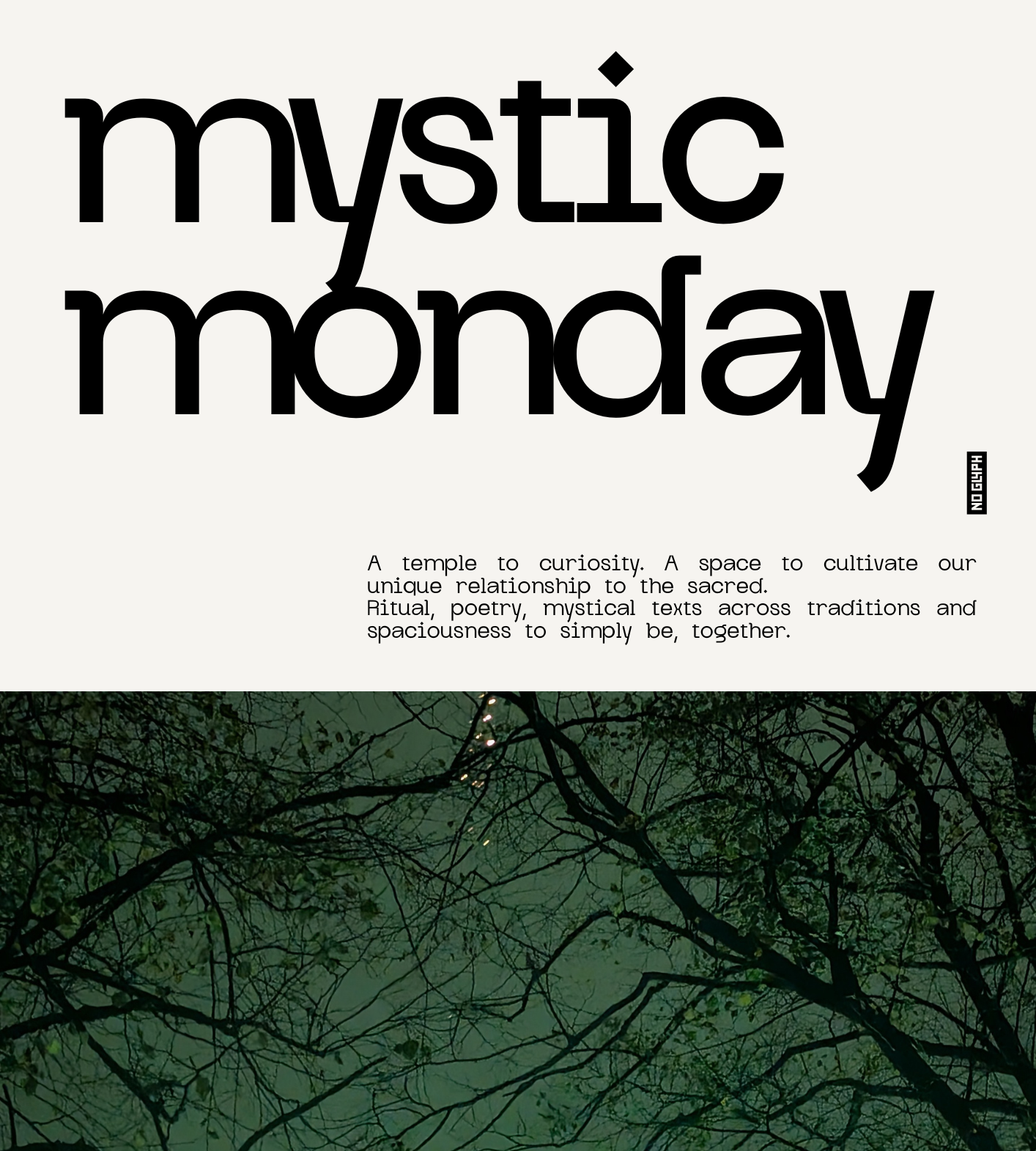 The flyer